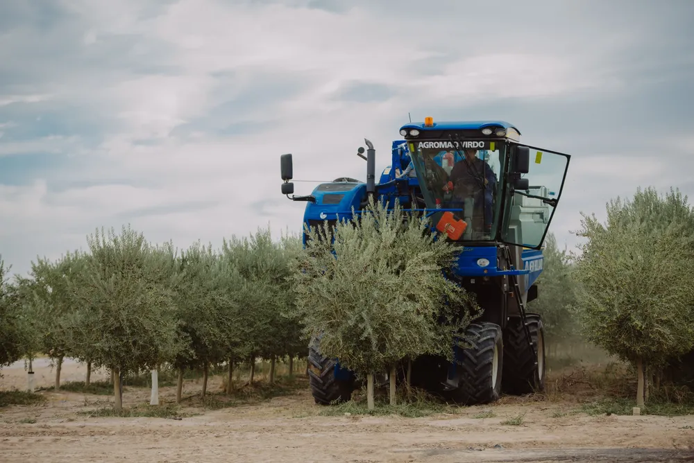 Agro (20)
